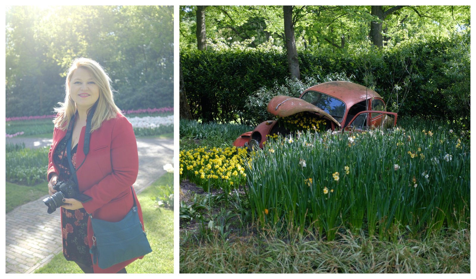 keukenhof_flowers_car