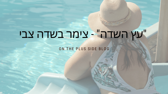 צימרים עץ השדה שדה צב